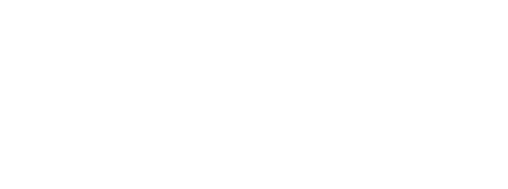 DIG Investment Group
